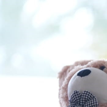 Whatsapp Image 2026 02 17 At 11.56.19 (2)